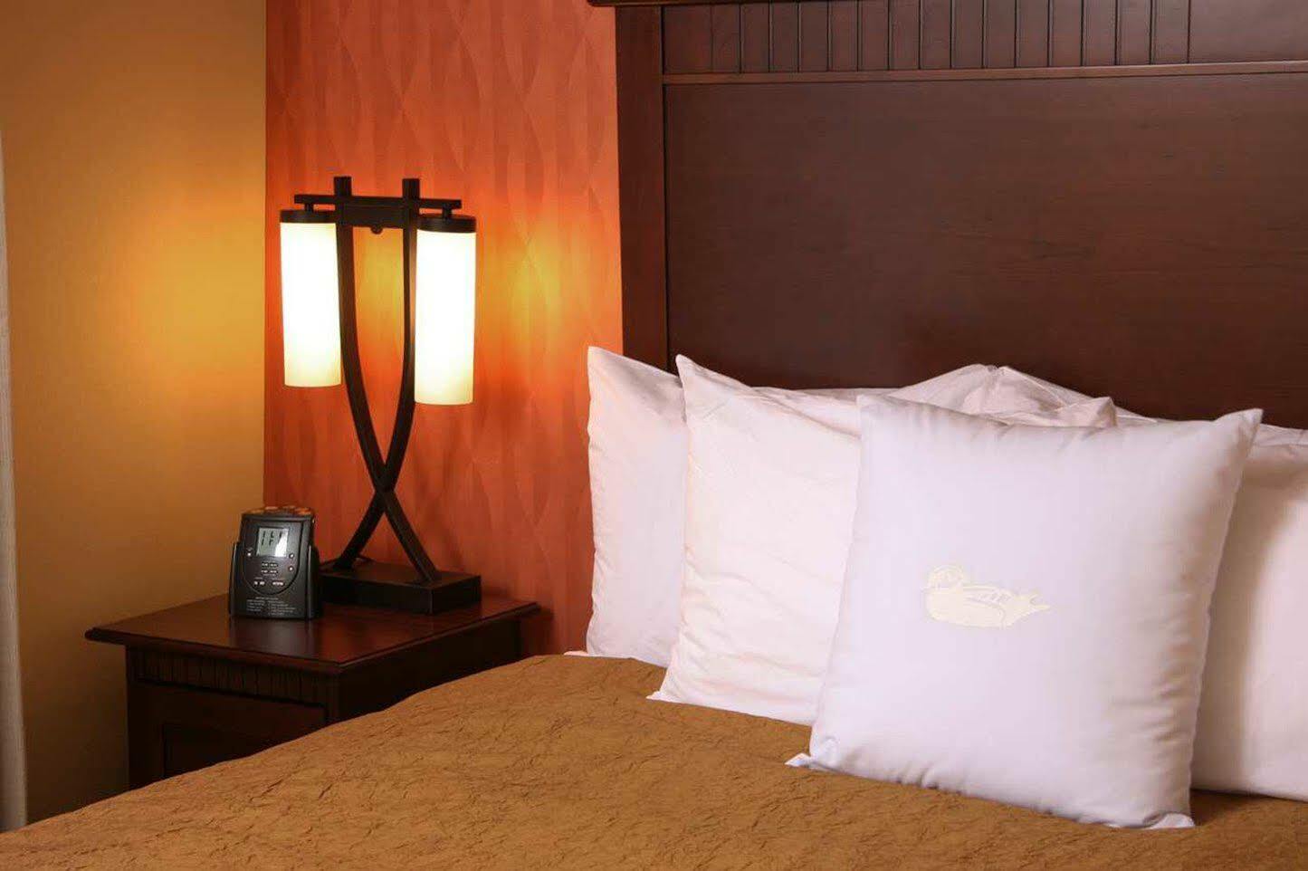 Homewood Suites By Hilton Denver International Airport Aurora Extérieur photo